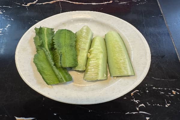 Ulam 