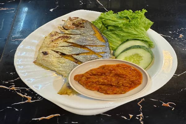 Ikan Bawal Ngosek
